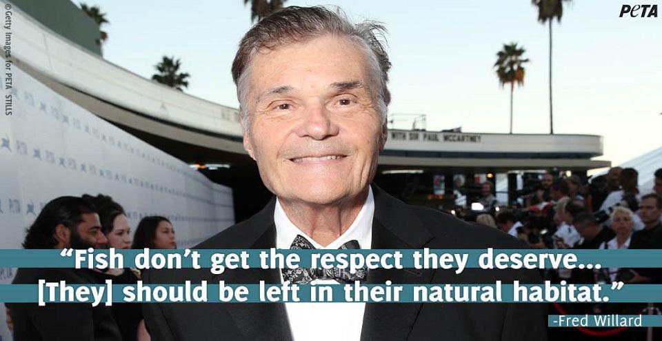 Fred Willard 